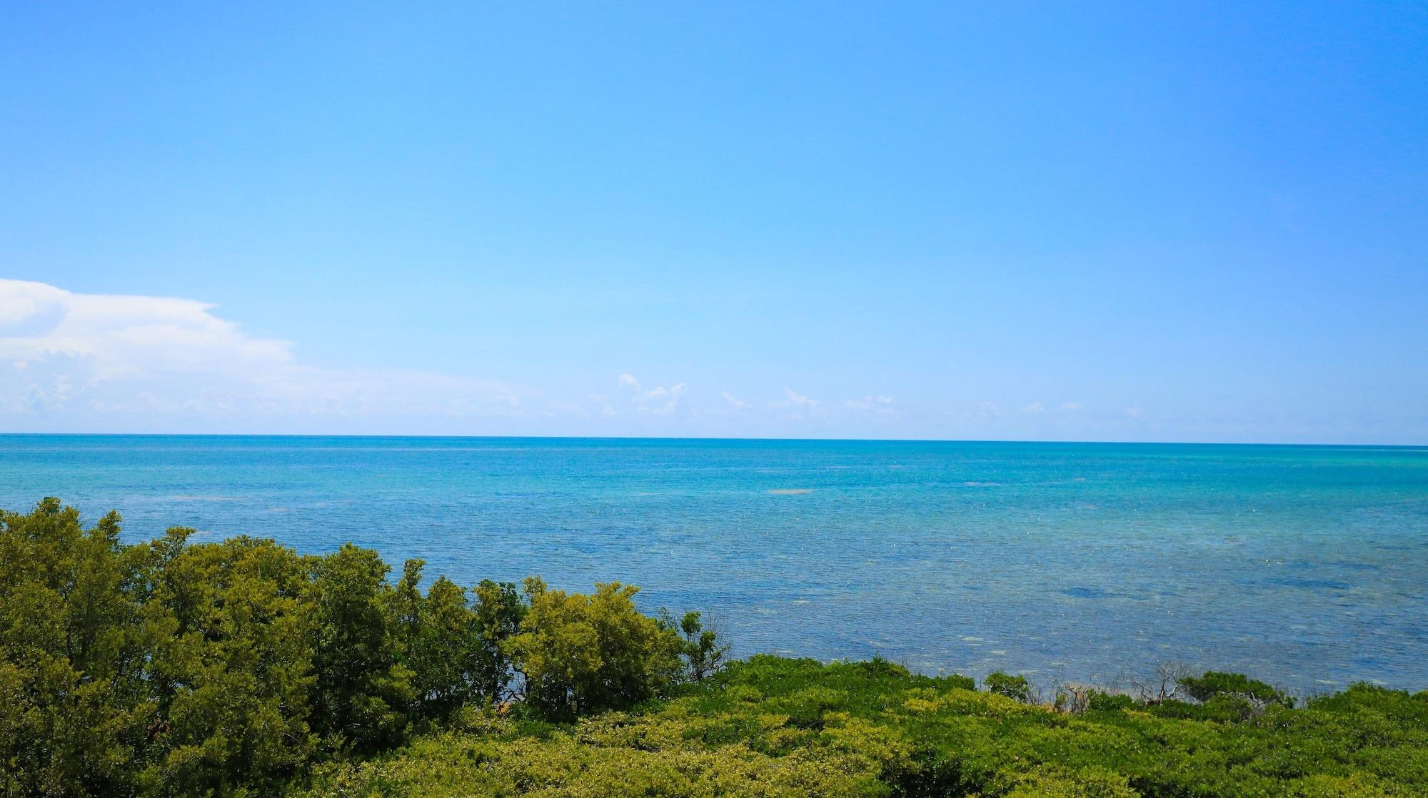 Ocean Pointe Suites At קי לארגו מראה חיצוני תמונה